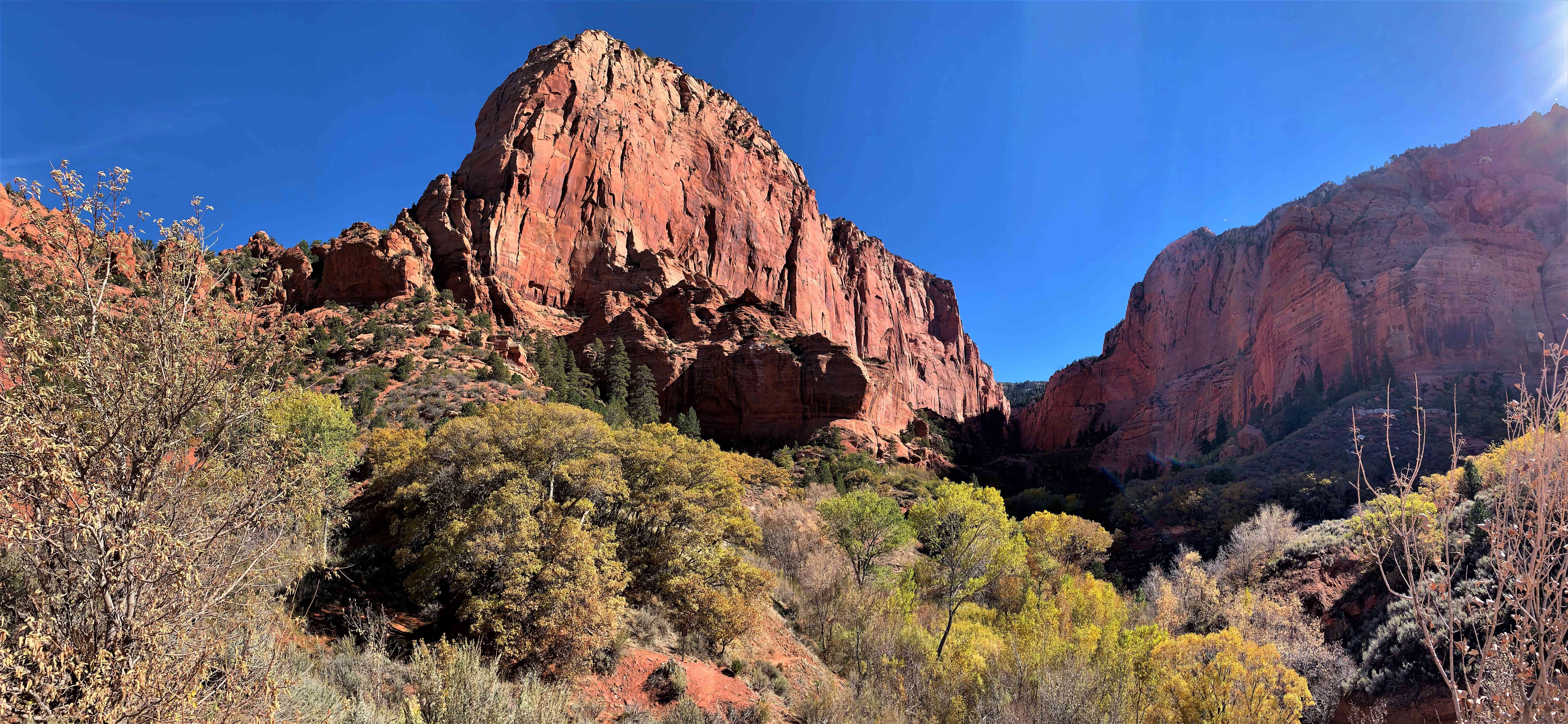 Zion NP